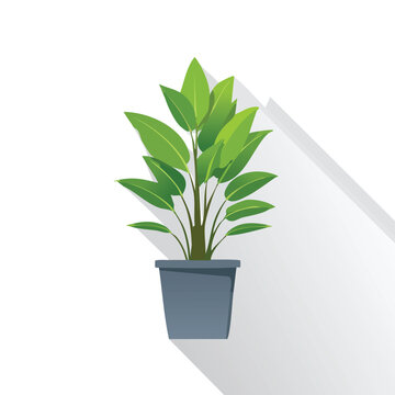 Green potted plant illustration on white background with long shadow effect