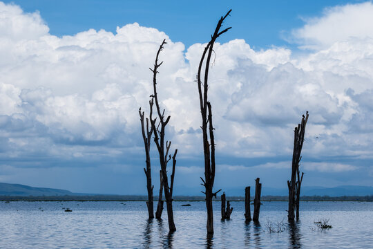 See in Kenia mit B&auml;umen im Wasser