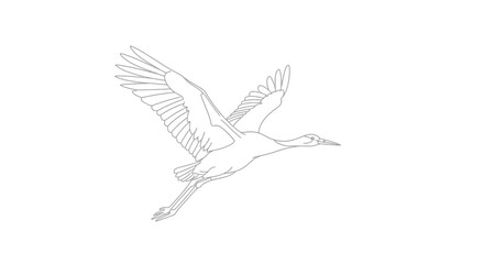 Obraz premium Large White Bird Flying Alone.