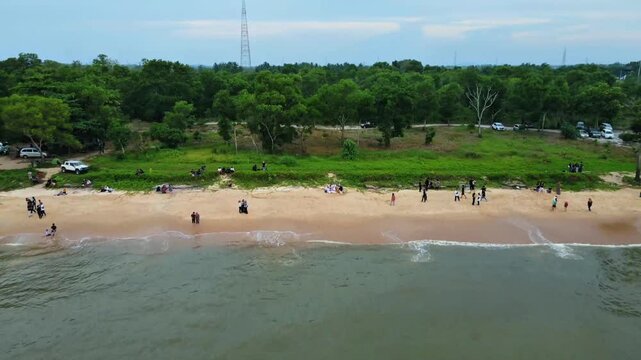 Drone view of beach with forest shoreline and small crowds