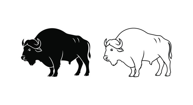Bison vs Buffalo Animal Comparison Guide Vector