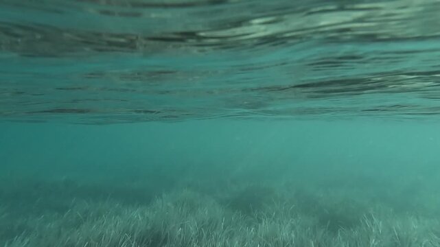 Split-Level View: Aegean Coastline and Bleached Posidonia Habitat