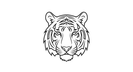 Detailed drawing of a tiger head. © Hedasa