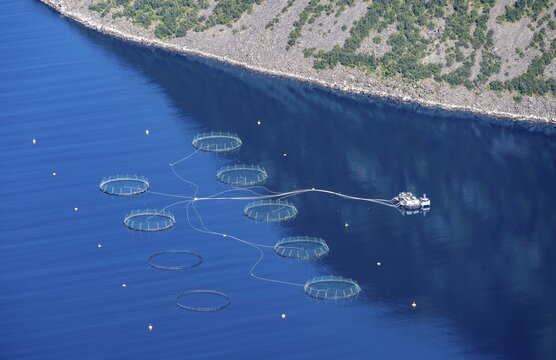 Aquaculture, fish farm in a fjord, Nordland, Norway
