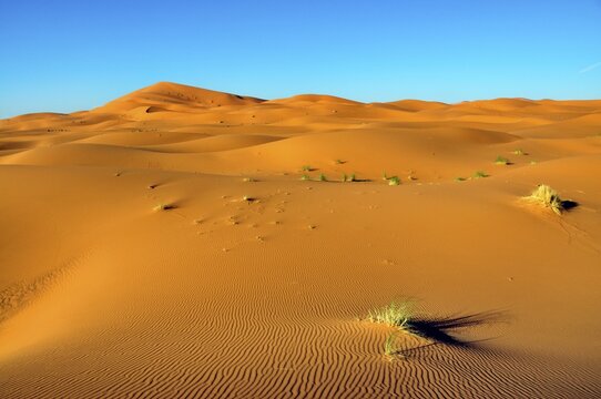 Sand dunes, Erg Chebbi, Morocco, Africa