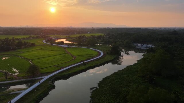 Aerial drone view of Labuh Banting rice fields at sunset