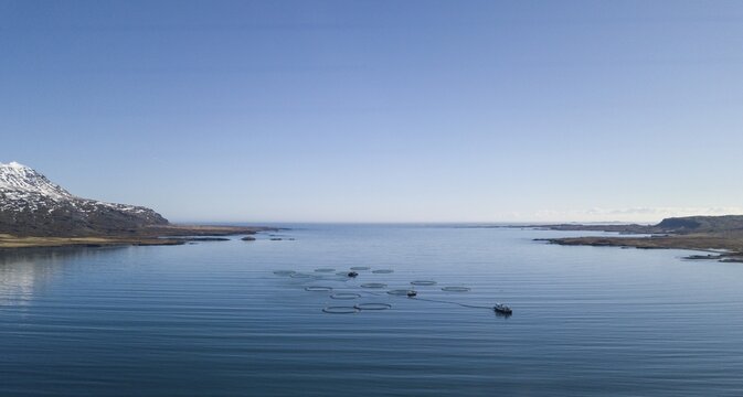 Aerial view, fish farming in large free-water nets in the sea, fjord, Iceland