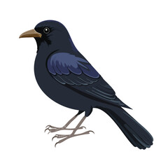 Obraz premium Stylized illustration of a dark blue bird isolated on white background