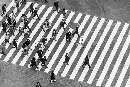Shibuya crossing, crowds at intersection, many people and cyclists cross zebra crossing, black and white, Shibuya, Udagawacho, Tokyo, Japan
