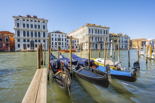 Gondolas on the Grand Canal, Ca' Pesaro Palace, Palazzo Don&agrave; and Ca' Corner della Regina, Venice, Veneto, Italy