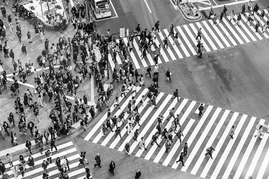 Shibuya crossing, crowds at intersection, many people cross zebra crossing, black and white, Shibuya, Udagawacho, Tokyo, Japan