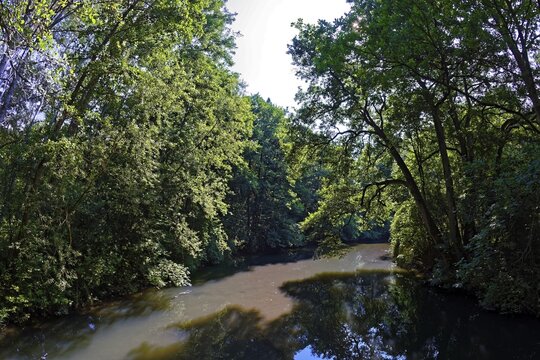 Schwarzach lined by tall deciduous trees, geotope and nature reserve Schwarzachklamm near Gsteinach, district of the municipality Schwarzenbruck, district N&uuml;rnberger Land, Middle Franconia, Franconia, Bavaria, Germany