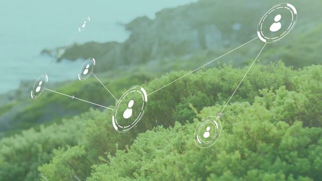 Single node appearing, 3D network expanding and linking icons over coastal shrubs, showing growth