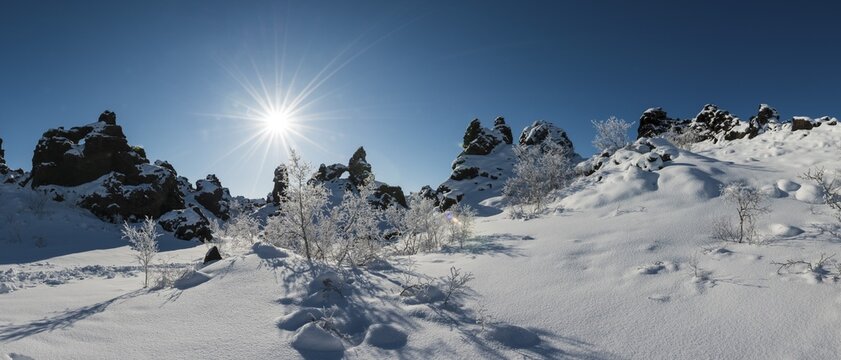Sun shining on snowy bushes, lava field covered in snow, Krafla volcanic system, Dimmuborgir National Park, M&yacute;vatn, Iceland