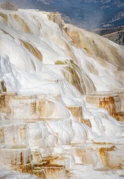 Sinter terraces with calcareous tuff deposits, hot springs, colorful mineral deposits, Palette Springs, Lower Terraces, Mammoth Hot Springs, Yellowstone National Park, Wyoming, USA