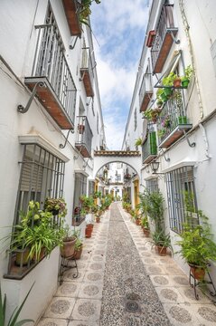 Alley decorated with flowers and plants with white houses, Calle Indiano, C&oacute;rdoba, Cordoba Province, Andalusia, Spain
