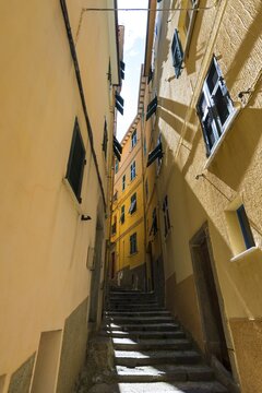 Narrow alley between yellow houses, Manarola, Cinque Terre, La Spezia, Cinque Terre, Liguria, Italy