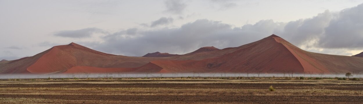 Sand dunes near Sesriem with morning fog, Namibia, Africa