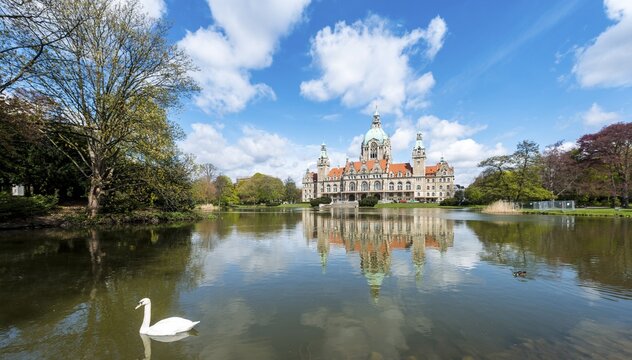 Swan on a pond in the Maschpark outside of New Town Hall with water reflection, Neues Rathaus, Hanover, Lower Saxony, Germany