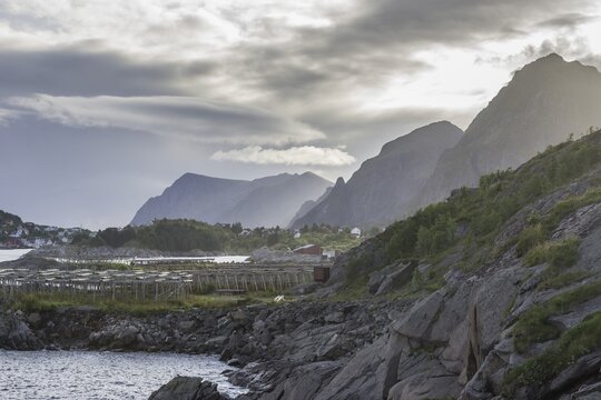 Coast with drying racks, Moskenes, Lofoten, Nordland, Norway