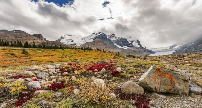 Barren Landscape, Glacial Valley, Mount Athabasca with Saskatchewan Athabasca Glacier, Icefields Parkway, Jasper National Park National Park, Canadian Rocky Mountains, Alberta, Canada