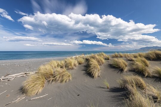 Sandy beach beach with grass near Kaikoura, Canterbury, South Island, New Zealand
