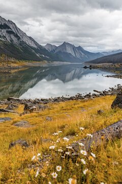 Mountains reflected in a lake, Medicine Lake, Maligne Valley, Jasper National Park, Alberta, Canada