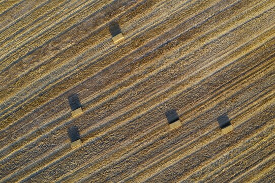 Bales of straw and abstract patterns in cornfield after wheat harvest, aerial view, drone shot, C&oacute;rdoba province, Andalusia, Spain