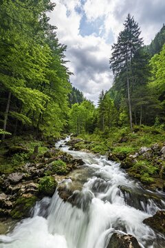 Torrent in Hartelsgraben, Ges&auml;use National Park, Styria, Austria