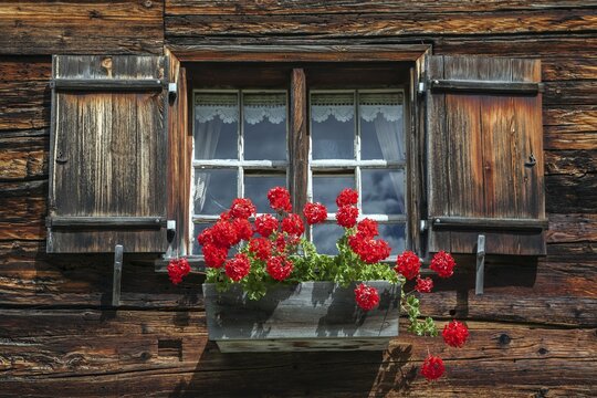 Window with geraniums on an old farmhouse in the historic mountain farming village of Gerstruben, Dietersbachtal, near Oberstdorf, Allg&auml;u Alps, Oberallg&auml;u, Allg&auml;u, Bavaria, Germany