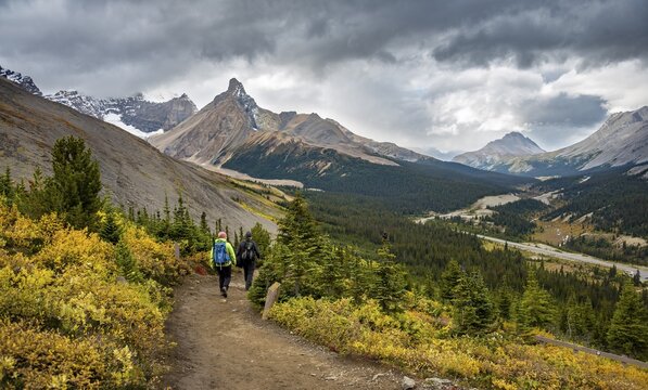 Two hikers between autumnal bushes, view of Sunwapta Pass, mountain landscape and glaciers in autumn, mountains Hilda Peak and Mount Wilcox, Parker Ridge, Icefields Parkway, Jasper National Park National Park, Canadian Rocky Mountains, Alberta, Canada