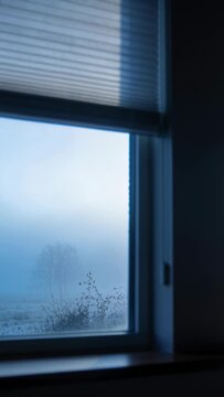 Vertical video: Lifting fog, morning revealing window in room, shrubs distant tree, blind pull-cord