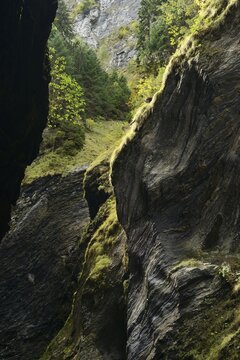 Viamala gorge near Thusis, canton of Grisons, Switzerland, Europe