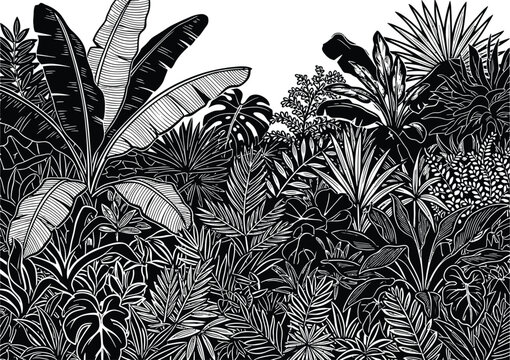 Jungle silhouette dense tropical foliage in black and white