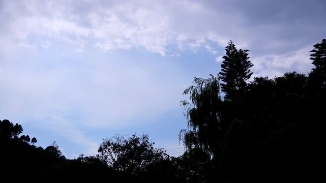 Time-lapse view of Naukuchiatal, Naukuchiatal, showing towering tree silhouettes against a wide sky filled with fast-shifting clouds, dramatic contrast between dark foliage and soft blue-grey light.