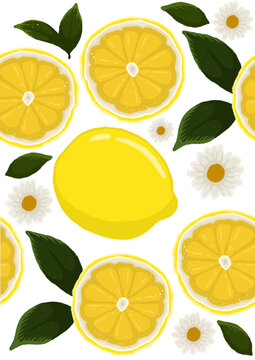 lemone summer pattern
