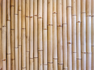 Fototapeta premium Close view of tightly arranged bamboo stalks forming uniform vertical pattern, highlighting natural texture, warm tones, and organic structure used in design and architecture.