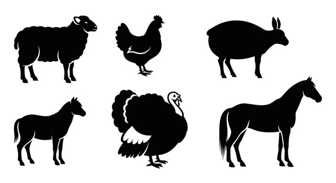 Farm Animals Silhouettes Set: Sheep, Chicken, Horse, Donkey, and Turkey Vector Icons