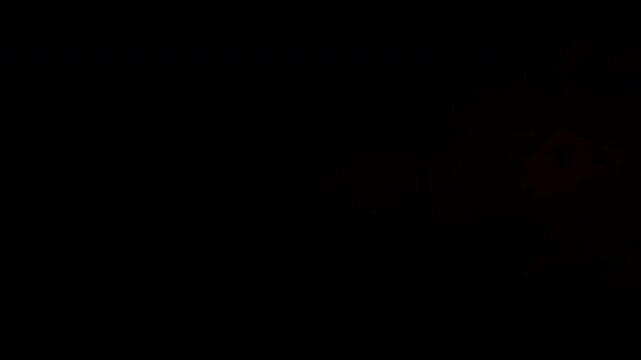 VFX Fireball 5 Seconds Shot Straight direction 30fps Angle1