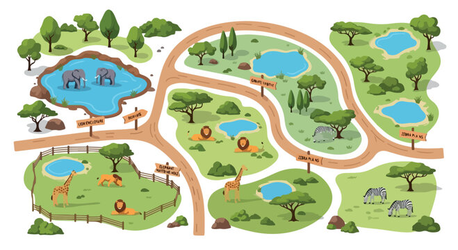 Safari park map vector illustration, zoo landscape with wild animals and winding roads, nature reserve with elephants and lions, wildlife sanctuary