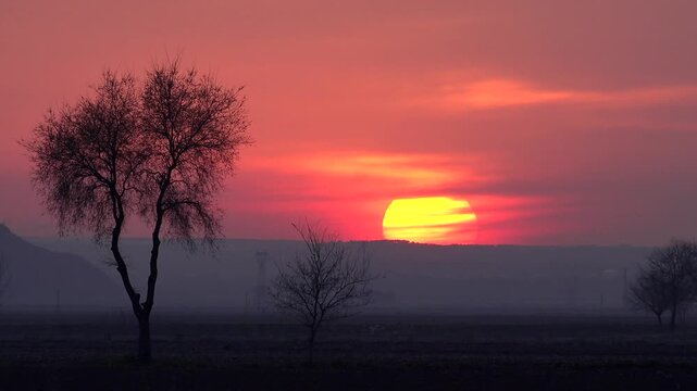 African sunset glows over the savanna as the sun sinks beyond open plains and acacia trees. Warm orange light paints cloud bands silhouettes during a tranquil golden hour scene.