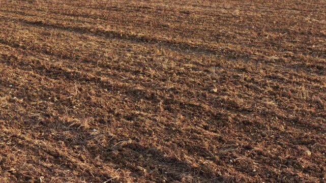 Detailed texture of dry farmland with irregular furrows and shallow ridges shaped by agricultural machinery. Earth surface showing moisture variation and structured tillage patterns in cultivated