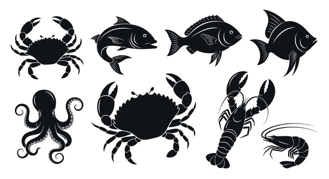 collection of black and white sea creatures and crustaceans illustration
