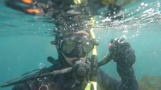 Slow Motion Scuba Diver Descending Through Kelp Forest, Underwater Exploration in Cape Town South Africa