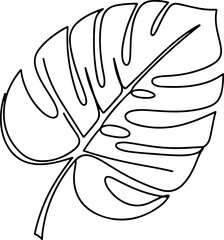 Continuous one line of a tropical split philodendron leaf, exotic botanical vector design for modern natural decor, style hand drawing illustration. © Haus