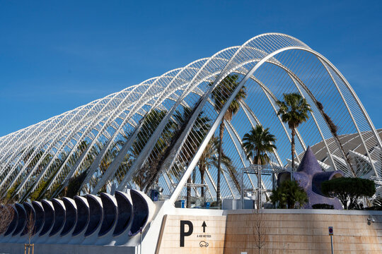 Plants in the Umbracle, a landscaped walk at he City of Arts and Sciences - Valencia, Spain