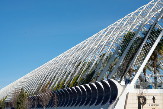 Plants in the Umbracle, a landscaped walk at he City of Arts and Sciences - Valencia, Spain