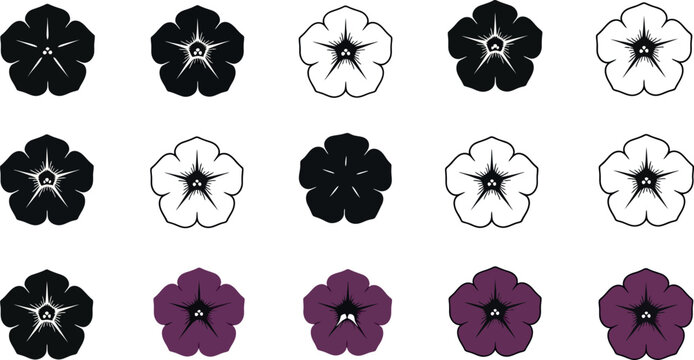 Collection of five petaled flowers in black white and purple petunia bloom floral blossom