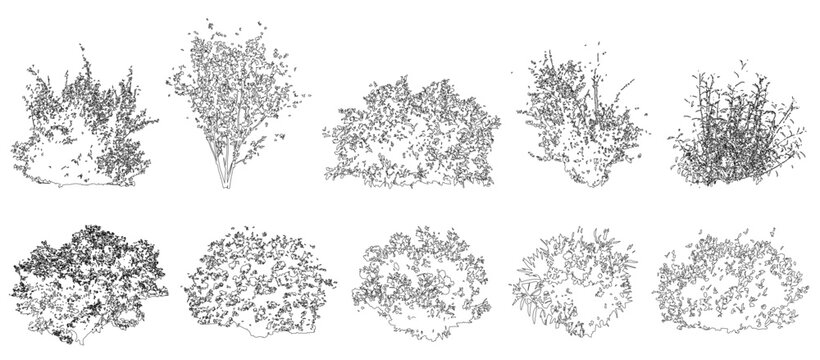Vector set of shrubs and bushes in elevation view for use in architectural drawings - isolated on transparent background	