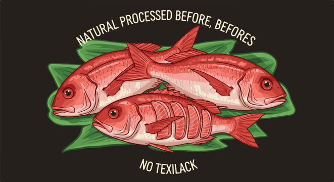 Fresh red snapper fish illustration on dark background with text